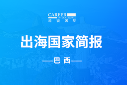 万象城AWCGO GLOBAL | 巴西国家简报